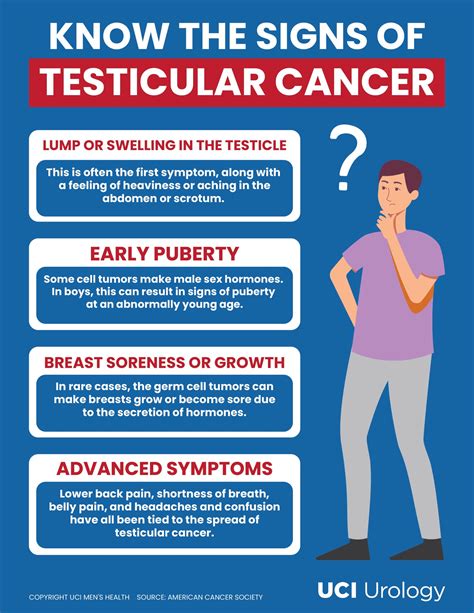 cancer testicular wikipedia|how dangerous is testicular cancer.